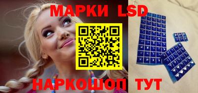 гидра Краснодар