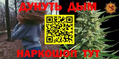 гидра Краснодар