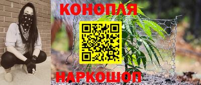 гидра Краснодар