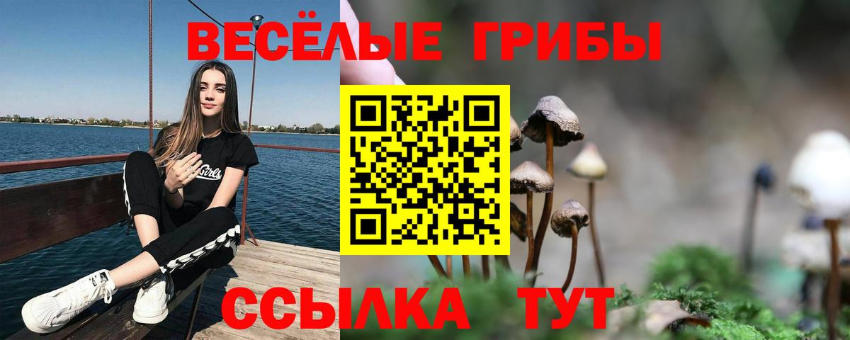 Гатчина  Псилоцибиновые грибы мухоморы  Вход с VPN 